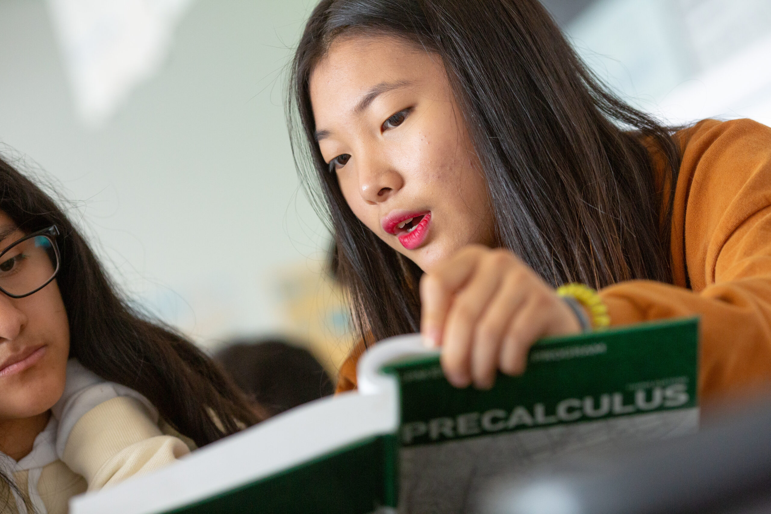 An image of a student explaining a concept to her classmate during a precalculus class.